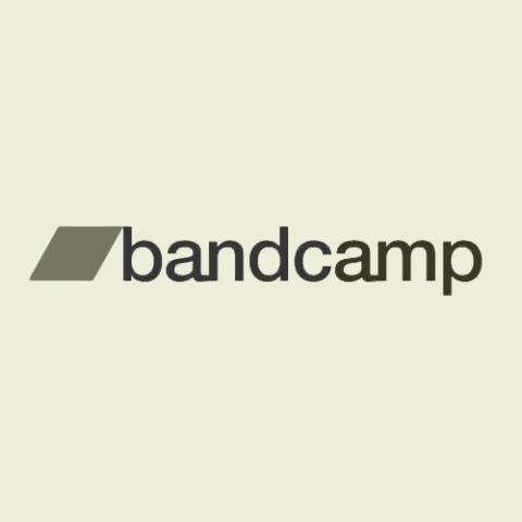 Pomáhá Bandcamp proti pirátství?