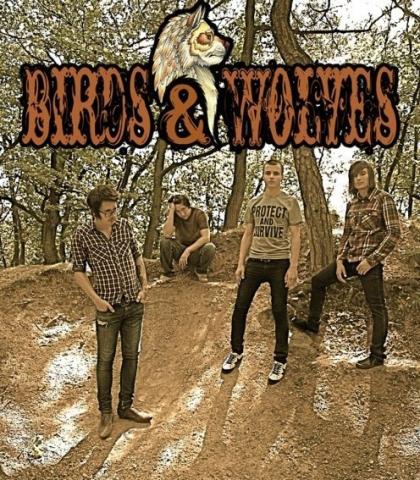 Birds and Wolves