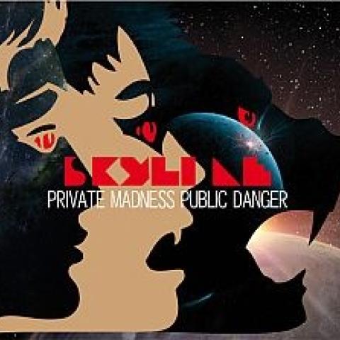 Skyline - Private Madness, Public Danger